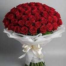 Букет 101 Красная роза Блэк Мэджик #REPLACE_PRED# Ильском
