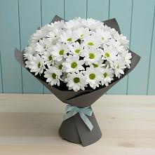 Букет цветов из:  Хризантемы #REPLACE_PRED# Ильском