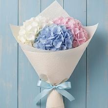 Букет цветов из:  Гортензия в Ильском