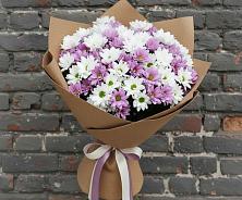 Букет цветов из:  Хризантемы в Ильском