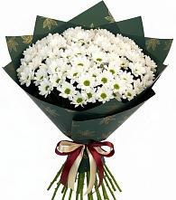 Букет цветов из:  Хризантемы в Ильском