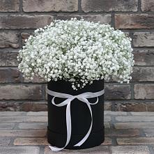 Цветочная композиция из Гипсофила в шляпной коробке #REPLACE_PRED# Ильском