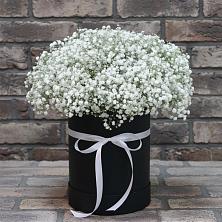 Цветочная композиция из Гипсофила в шляпной коробке в Ильском