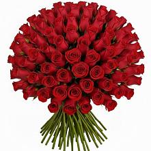 Букет Красные розы Чери Лав #REPLACE_PRED# Ильском