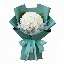Букет цветов из:  Гортензия в Ильском